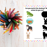 Playing with Shadows: Printable PDF Activity Book for Toddlers & Preschoolers – Fun Matching Games with Animals, Fruits, Cars and More!